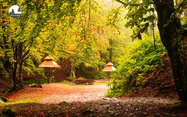 Bảo Vệ Môi Trường