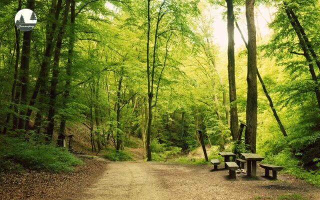 Bảo Vệ Môi Trường