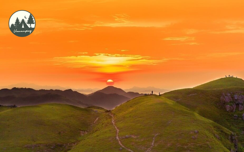 cam-trai-cao-nguyen-dong-cao