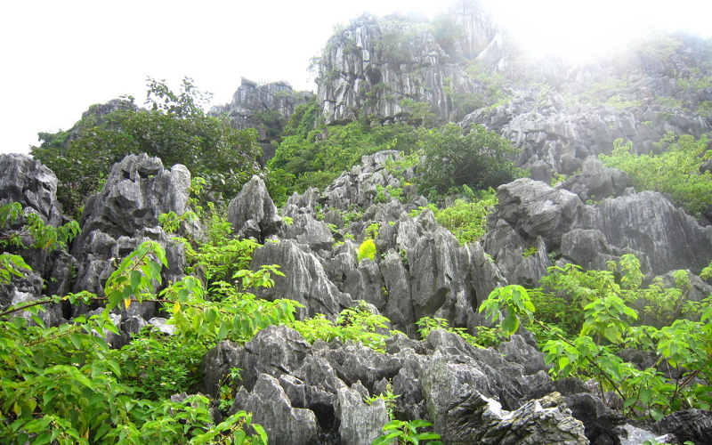 cam-trai-nui-voi-hai-phong