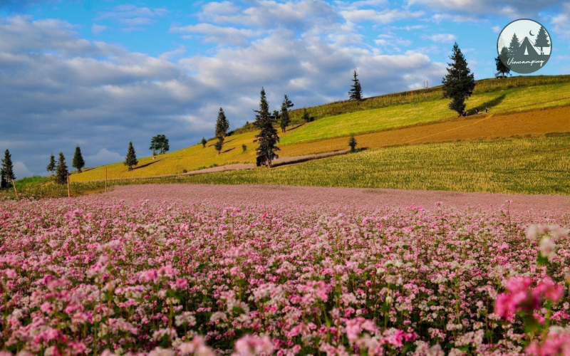 cam-trai-o-thao-nguyen-suoi-thau