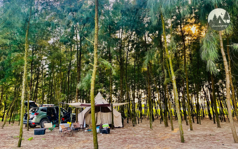 cam-trai-bien-tinh-gia