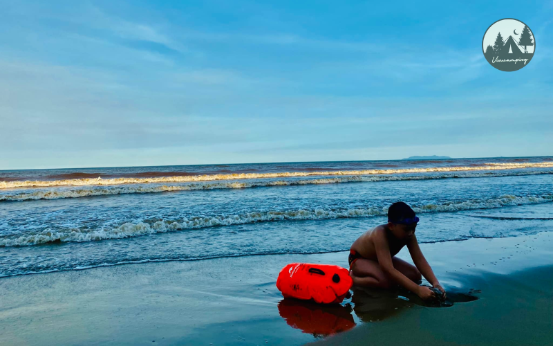 cam-trai-bien-tinh-gia