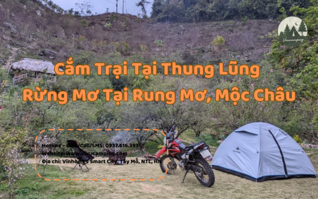 cam-trai-tai-thung-lung-rung-mo