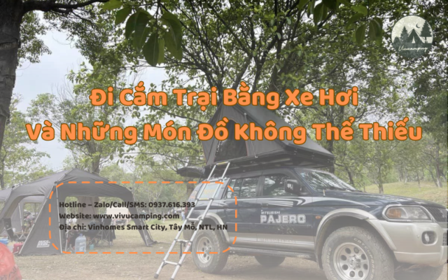 di-cam-trai-bang-xe-hoi