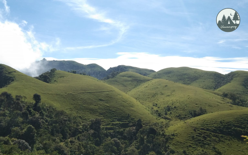 thao-nguyen-sam-chiem