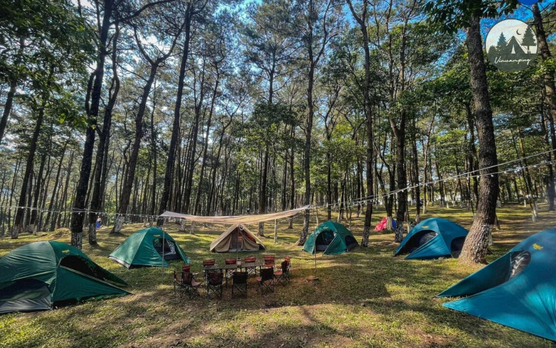 xu-li-chong-nong-cho-leu-cam-trai