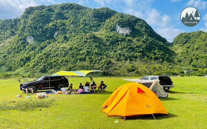 xu-li-chong-nong-cho-leu-cam-trai