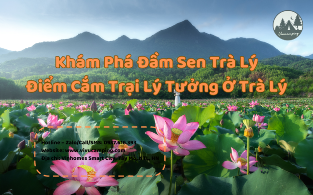 dam-sen-tra-ly